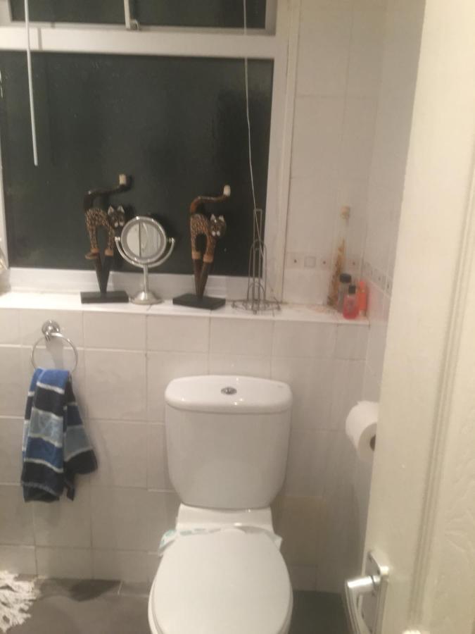 דארטמות' Woodland Views Central Heated Cabin מראה חיצוני תמונה
